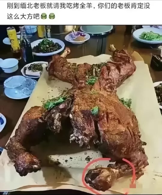 itsdawn_logs's tweet photo. 不懂就问

这是正经烤全羊吗 https://t.co/esE2Lu8B5V