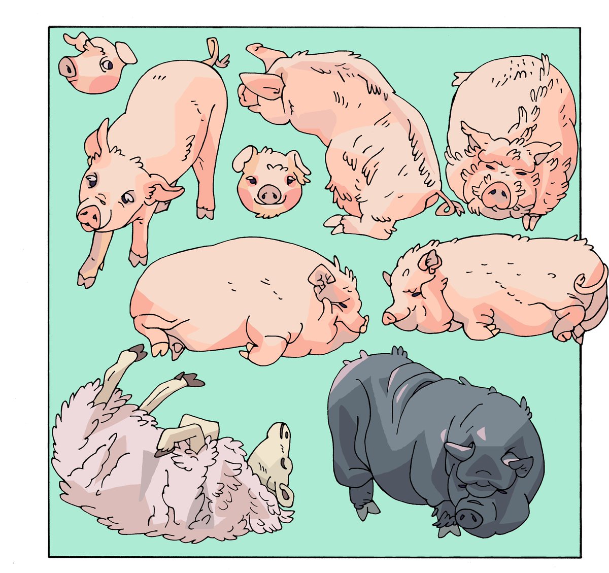 豚ちゃん🐷
