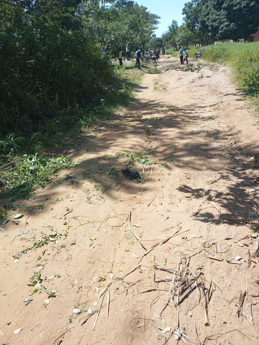 KOLENORTHMEDIA's tweet photo. Community members of Amuge parish, Alito SC under the leadership of LC II Chairperson Hon. Solo Ongom are currently working on the Anekapiri-Amuge to Odong Ming road

The team is fixing bad spots along the road to make it motorable and ease movement for farmers, traders &amp;learners https://t.co/JO3XCmPhNt