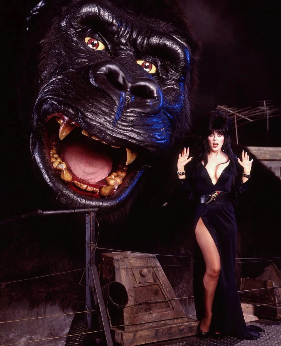 toys_retro's tweet photo. Elvira Meets King Kong! 🖤🦍 #Elvira #MistressOfTheDark #KingKong #HorrorNostalgia #80sNostalgia #RetroHorror #CultClassic #HalloweenNostalgia https://t.co/VlqKfmuSyS