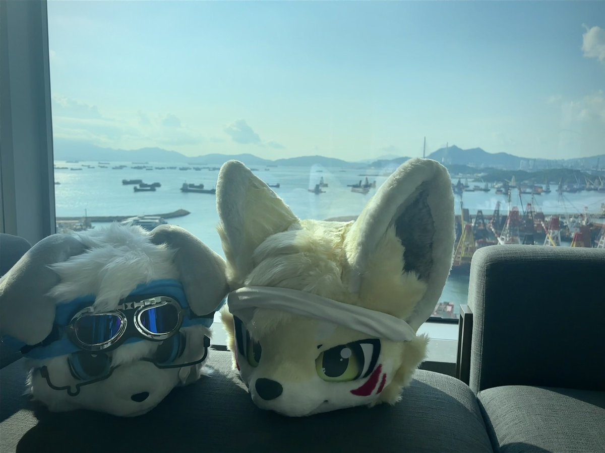 yangxu2007's tweet photo. 咩在香港遛狗的天@yebao__ https://t.co/0cZOgs7vIE