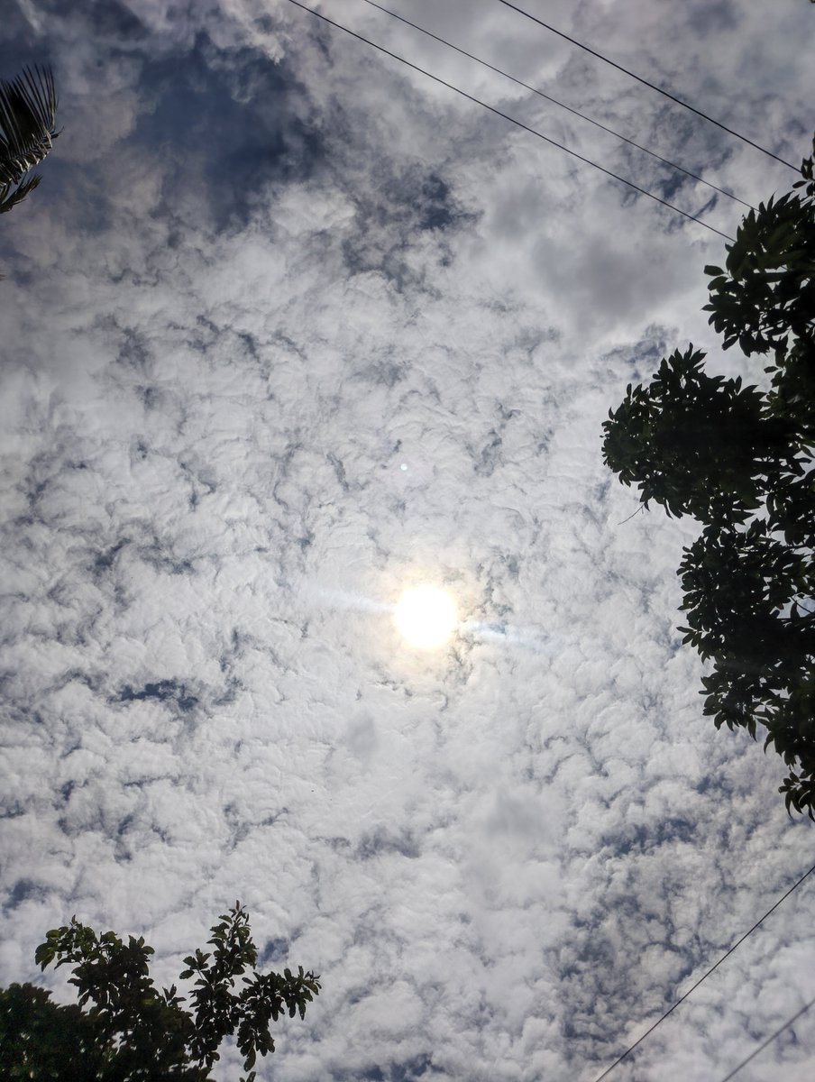 itsmikasa44's tweet photo. “Just a quiet afternoon under an open sky. Sometimes, that’s all you need.” https://t.co/bVyTfN7sk1