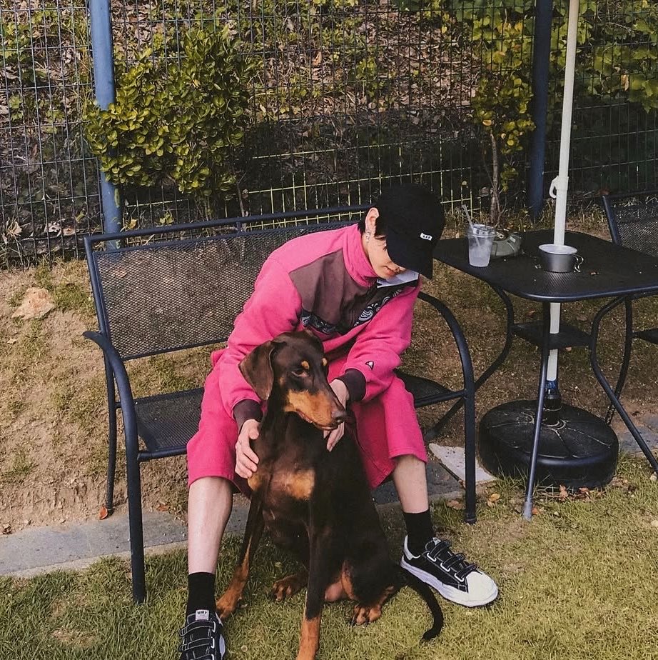 fawnkookie's tweet photo. “there was a puppy in the corner who wasn’t getting any milk from his mother and i said “i’ll take him”” https://t.co/o5gEDVAZAu