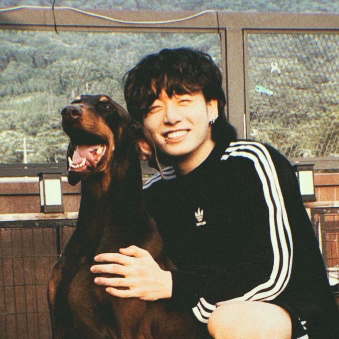 fawnkookie's tweet photo. “there was a puppy in the corner who wasn’t getting any milk from his mother and i said “i’ll take him”” https://t.co/o5gEDVAZAu