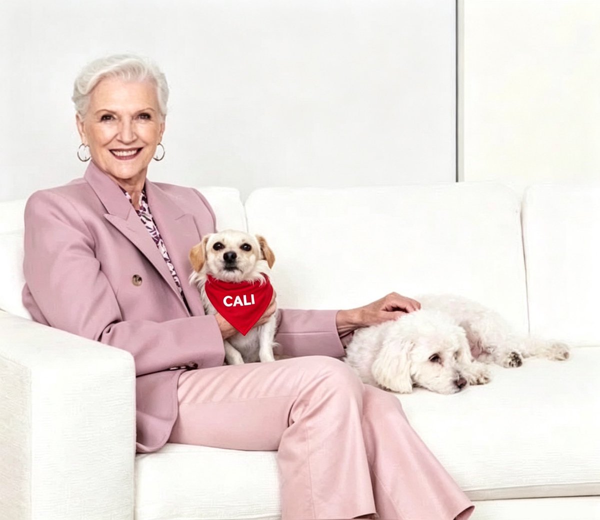 Cali_XLayer's tweet photo. Lovely photo ❤️🐶. Cali the pup loves this! book Timeless perfectly captures resilience and reinvention, just like our $CALI community. https://t.co/MNnRpZKcZr