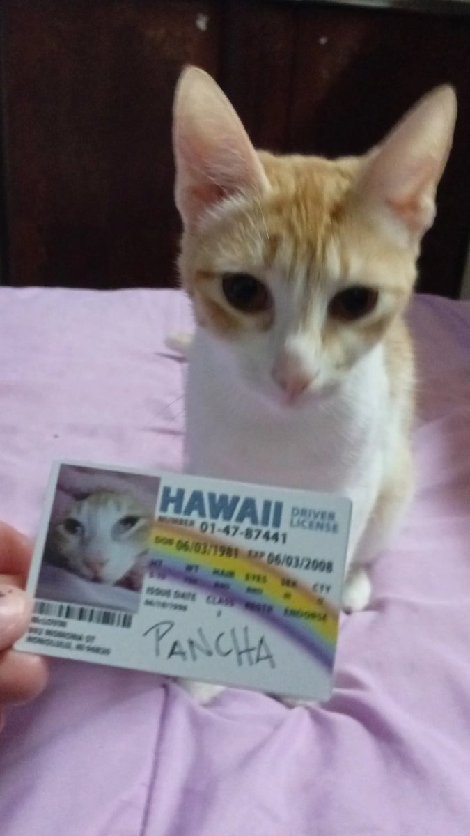 frikitta's tweet photo. esta se piensa q soy boluda... https://t.co/V54NyRRHph