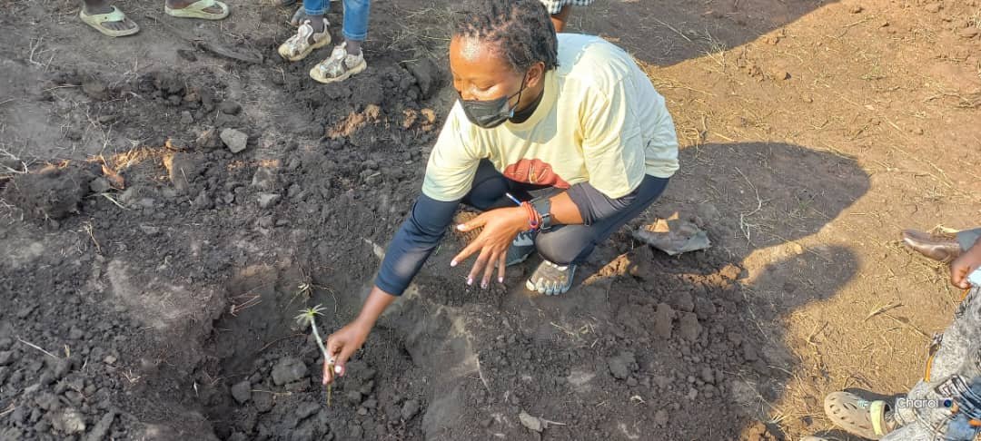 Odiirafidel's tweet photo. Planting new seeds indeed!
It's so significant in life to leave seeds behind, to make impact wherever we go
When we travel, Our footprint doesn’t begin and end with the journey. What we do during our stay germinate! #Seeds #TreePlanting #EnvironmentalConservation https://t.co/mw2UPLg7gV
