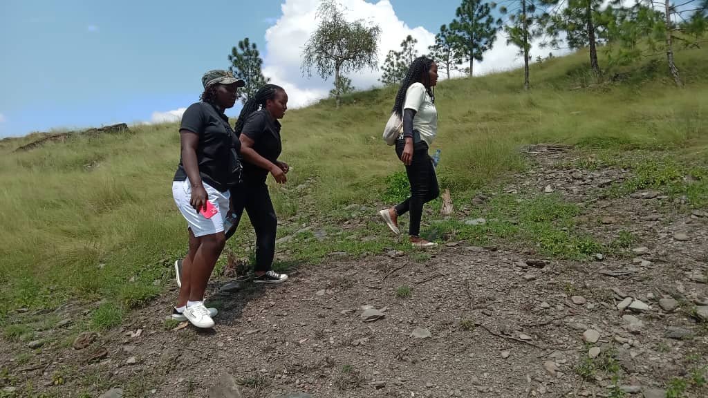 Odiirafidel's tweet photo. Planting new seeds indeed!
It's so significant in life to leave seeds behind, to make impact wherever we go
When we travel, Our footprint doesn’t begin and end with the journey. What we do during our stay germinate! #Seeds #TreePlanting #EnvironmentalConservation https://t.co/mw2UPLg7gV