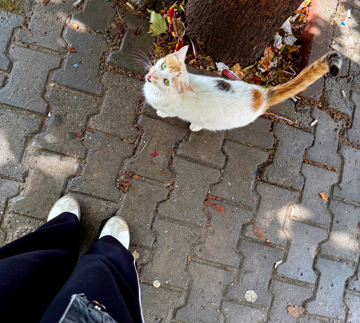 bir_yozgee's tweet photo. Gözleriniz çok güzelmiş ne iş yapıyorsunuz https://t.co/mUz3mmAJZ2