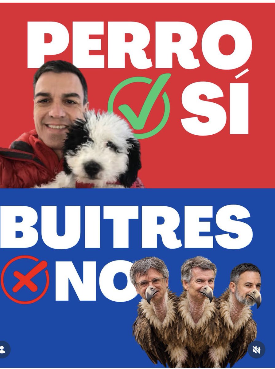 IbonekN's tweet photo. @MaritxuDeusto #BuitresCorruPPtos https://t.co/snnucLII9X