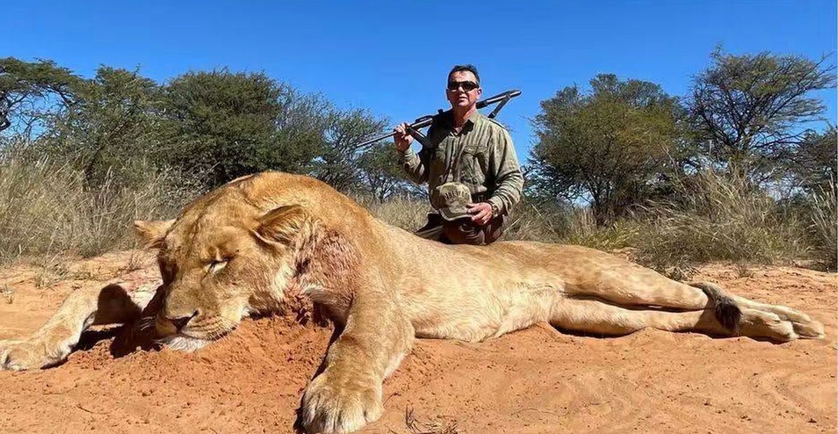 HuncensoredHQ's tweet photo. 🦁 This is the Tisza version of “protecting the living environment”.

Tibor Kaprinyák, vice‑chair of Parliament’s Committee for the Living Environment, tasked with overseeing nature and animal welfare policy, is photographed proudly over a dead lion in Africa as a hobby hunter.

While László Gajdos, the Minister for the Living Environment, scrambles to say Kaprinyák “has no role in the ministry” and “no tasks”, one fact remains: Tisza chose a trophy hunter to help oversee Hungary’s environmental policy.