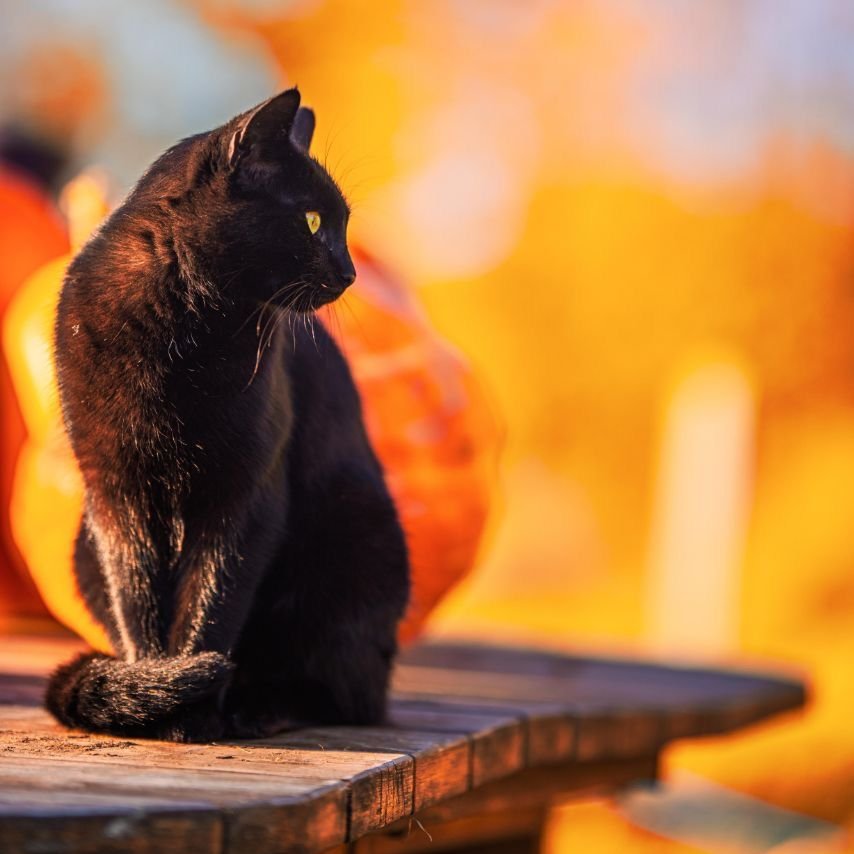 nullpunkt__cat's tweet photo. Gözyaşlarımı verirdim de,
değer bilmez yalan edersin.
#Taladro
İyi haftalar. 🎧 https://t.co/Bzj2RbmKq2
