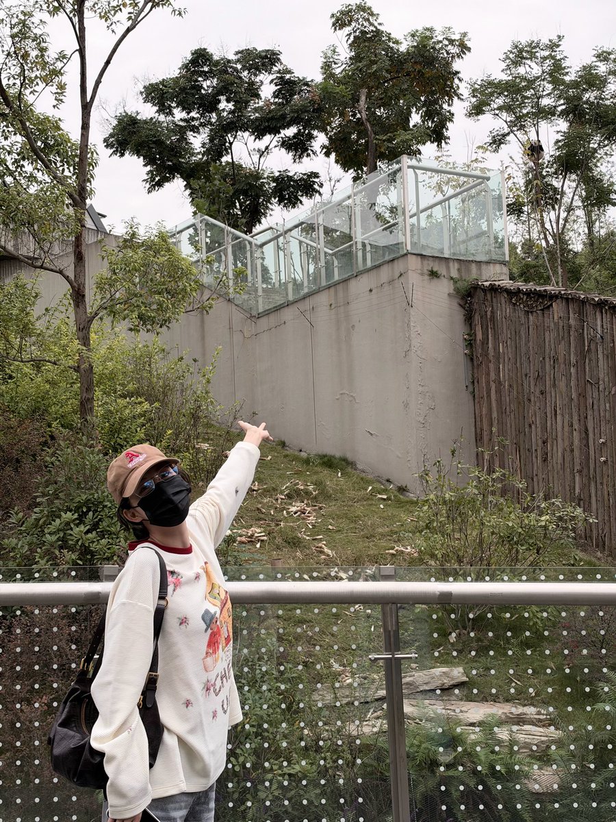 churanzip tweet picture