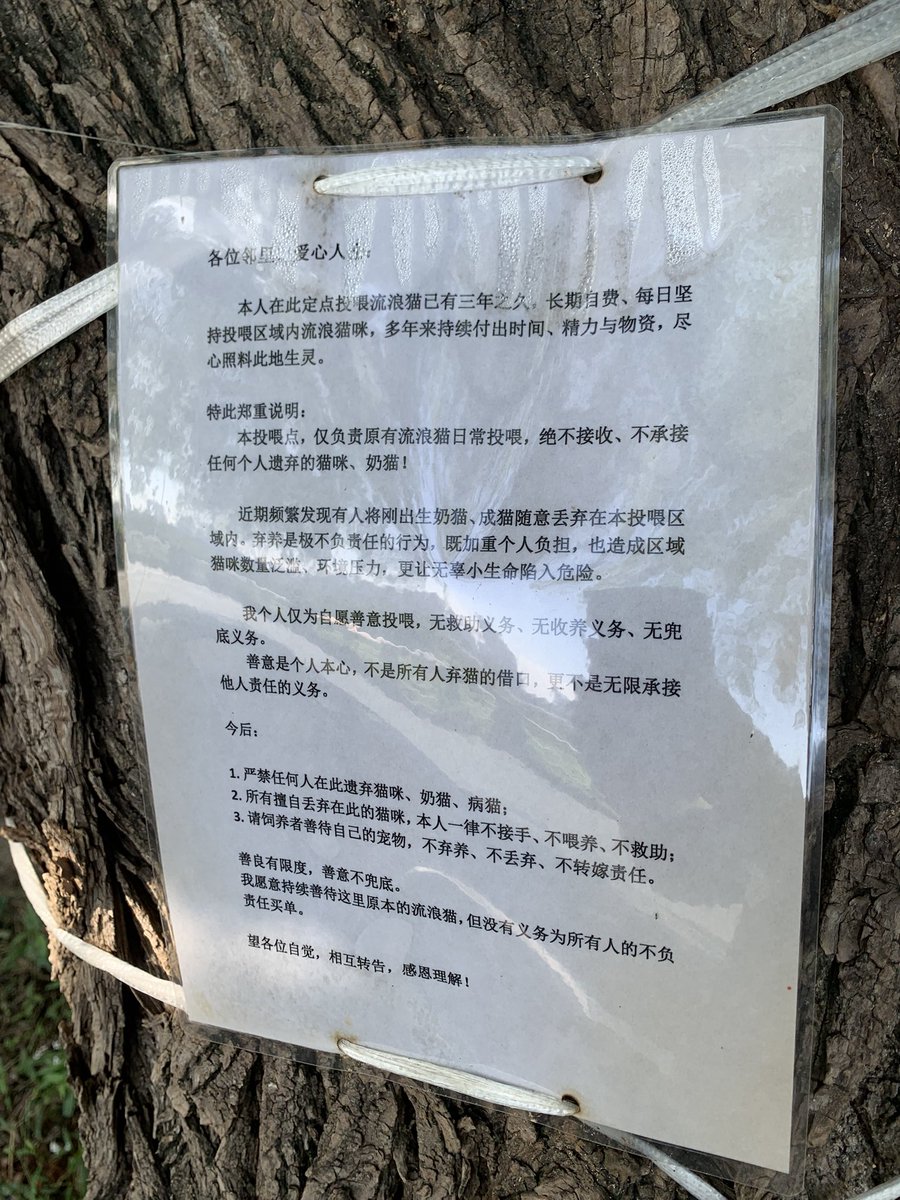 Shichuan3211's tweet photo. 大学湖边一棵树上看到的，我知道长大的过程需要经历很多事，但人的成长不该建立在无辜的生命上。希望大家有开始的勇气的同时，也能具备持之以恒的决心。 https://t.co/F5KLyI9dRm