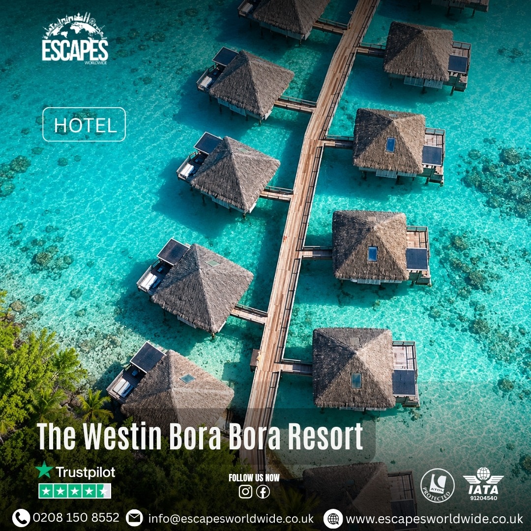 sollabag's tweet photo. Bora Bora is calling. Explore pure tropical luxury at The Westin Bora Bora Resort, from overwater bungalows and marine life to turquoise-water dining, sunset sails and stargazing. Save for inspiration and message us to plan your tailor-made getaway. https://t.co/cFSoifXnk1