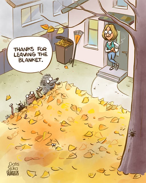 EU_ENV's tweet photo. This autumn, leave the leaves to help biodiversity in urban areas 🍂
It's a protective habitat layer insulating the soil, providing safe overwintering cover for animals, and feeding local food webs
We all can help protecting habitats – starting in our gardens
#worldhabitatday https://t.co/jP9wxeWzoZ
