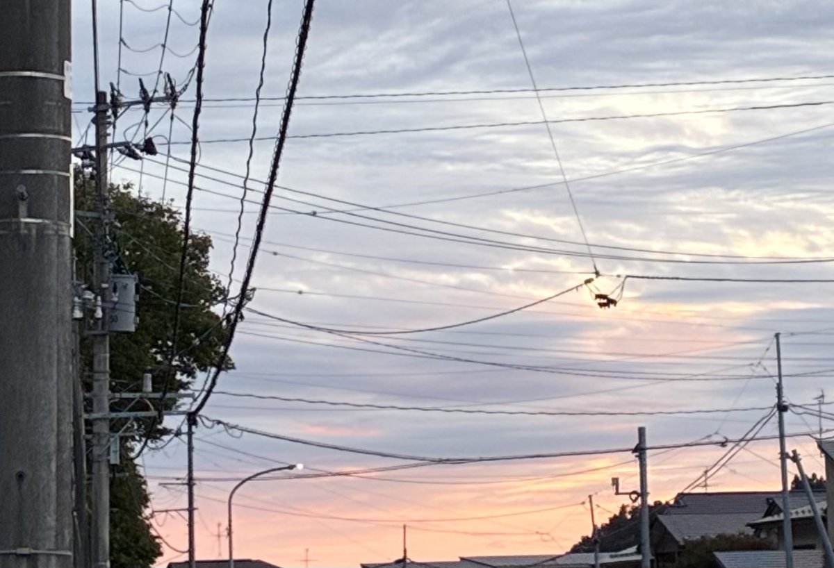 mic_kirie's tweet photo. 今日も一日お疲れ様でした https://t.co/GeFAy52AK1