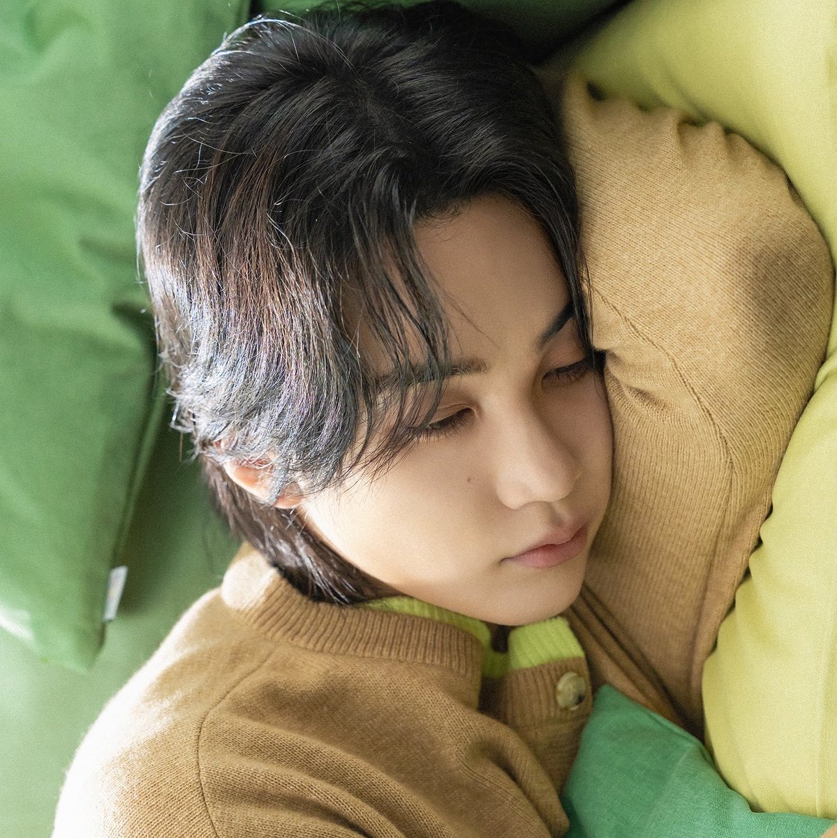 880410jc's tweet photo. Be quiet, omega Jeonghan is nesting 🤫 https://t.co/oqmXScCaeQ