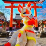 Photo by ろーが (@wolfkemo)