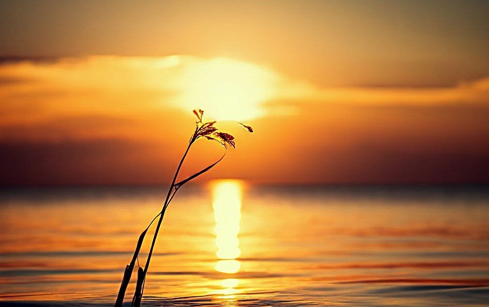 Mare54695707's tweet photo. ☀️☀️ gm https://t.co/TZsWRzFKGz