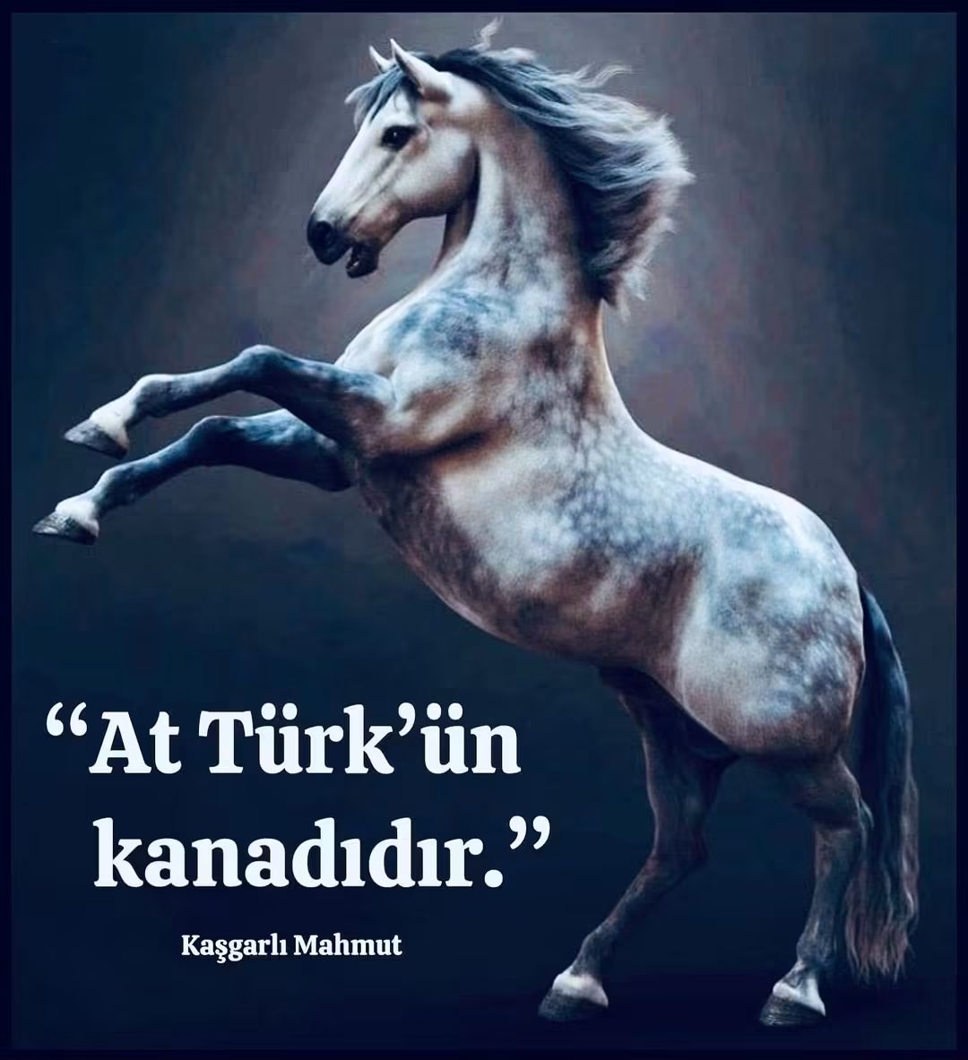 Eyll2r's tweet photo. At TÜRK’ün kanadıdır.

Kaşgarlı Mahmut https://t.co/ydNoFOsjSN