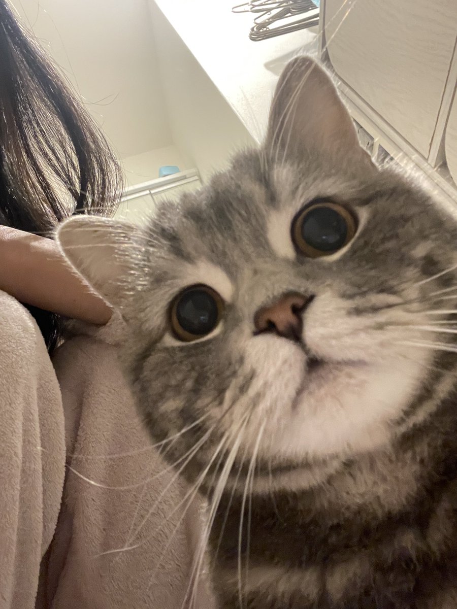 15229cm's tweet photo. 自撮りしよ〜っていったらきた https://t.co/tGzjB9UtsB
