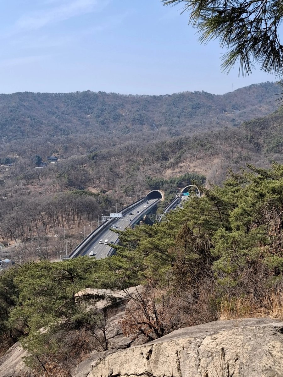 Guuske9's tweet photo. Seguimos caminando por el Seoul Trail, Corea del Sur. Febrero de 2026. https://t.co/qtQISImWbl