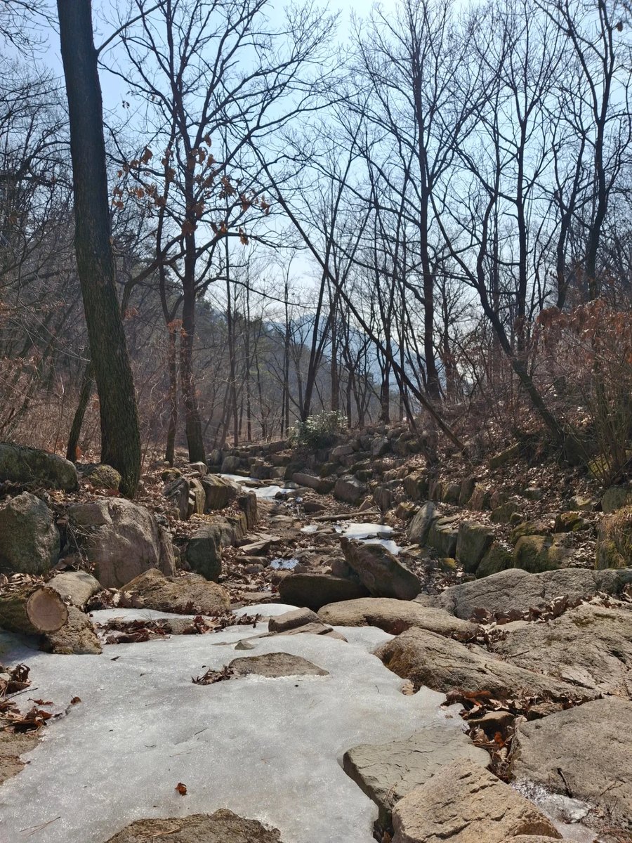 Guuske9's tweet photo. Seguimos caminando por el Seoul Trail, Corea del Sur. Febrero de 2026. https://t.co/qtQISImWbl