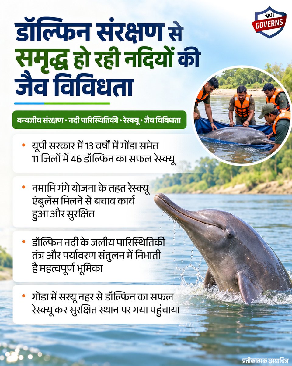 UP_Governs's tweet photo. डॉल्फिन संरक्षण से समृद्ध हो रही नदियों की जैव विविधता!
उत्तर प्रदेश में डॉल्फिन के रेस्क्यू और सुरक्षित पुनर्वास के प्रयासों से नदी पारिस्थितिकी और जलीय जैव विविधता के संरक्षण को मजबूती मिल रही है।
#Governs #DolphinConservation #GangesRiverDolphin https://t.co/FHWGnh7ffK