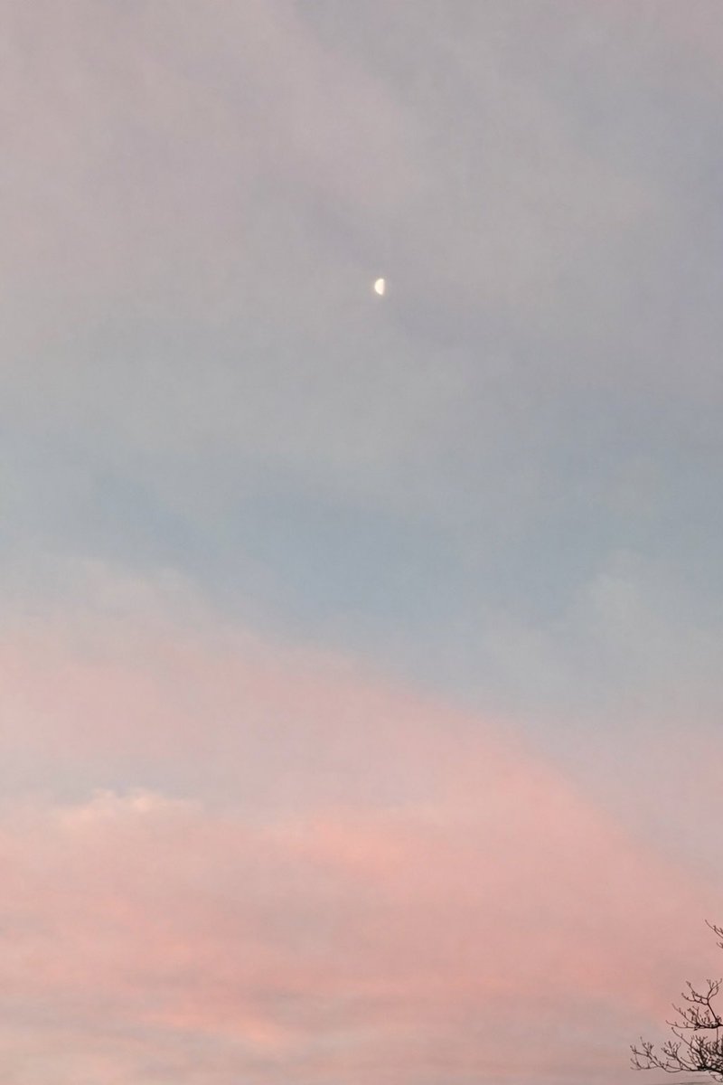 nyankosuki11's tweet photo. 今日も一日、おつかれさまでした。 空の色がゆっくり変わるみたいに、 心も少しずつ、ほどけていきますように🍵
#夕焼け #月 #月曜の夜 https://t.co/R1Kx8nhpIk