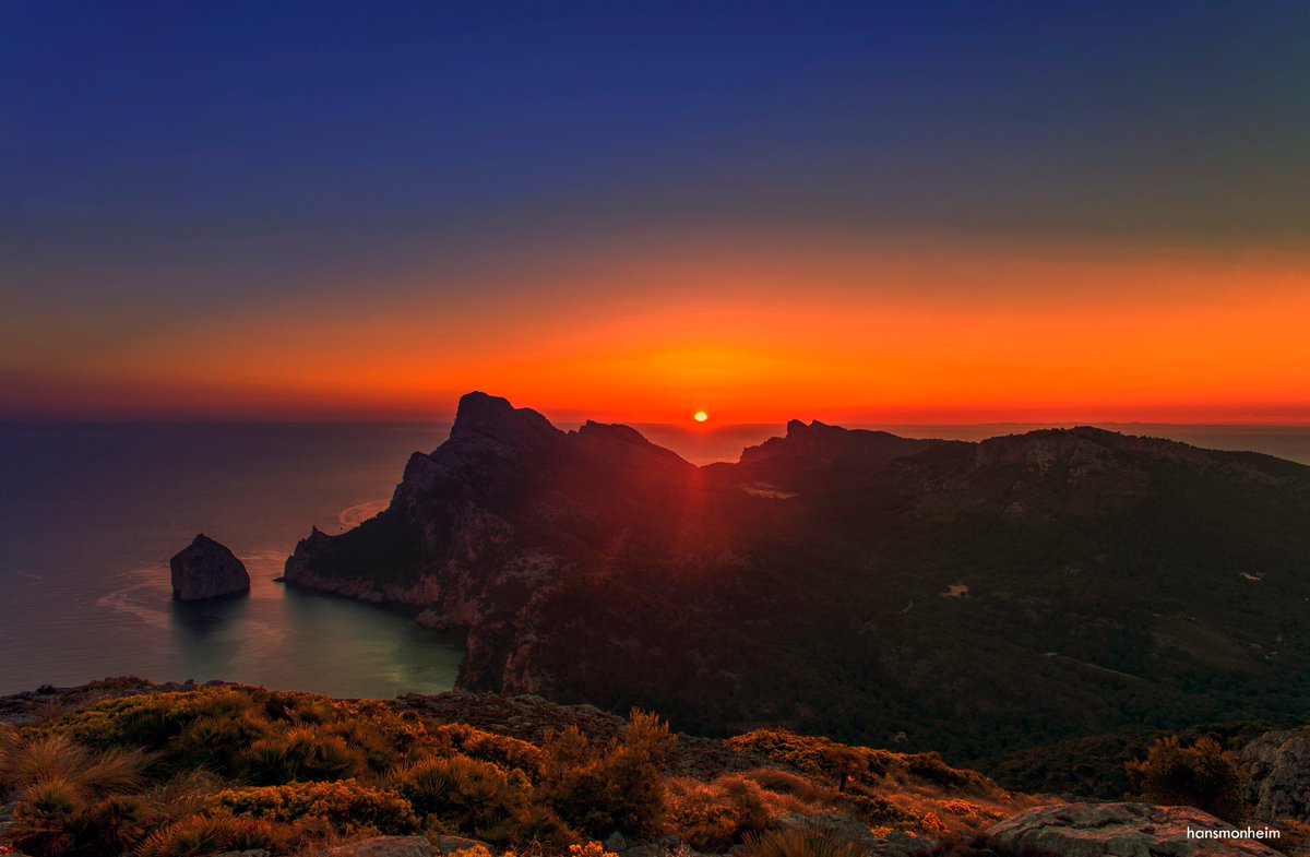 Pollenca_com's tweet photo. 🥰 Península de Formentor

📸 Hans Monheim

@MallorcaTourism https://t.co/GZhPr39CBP