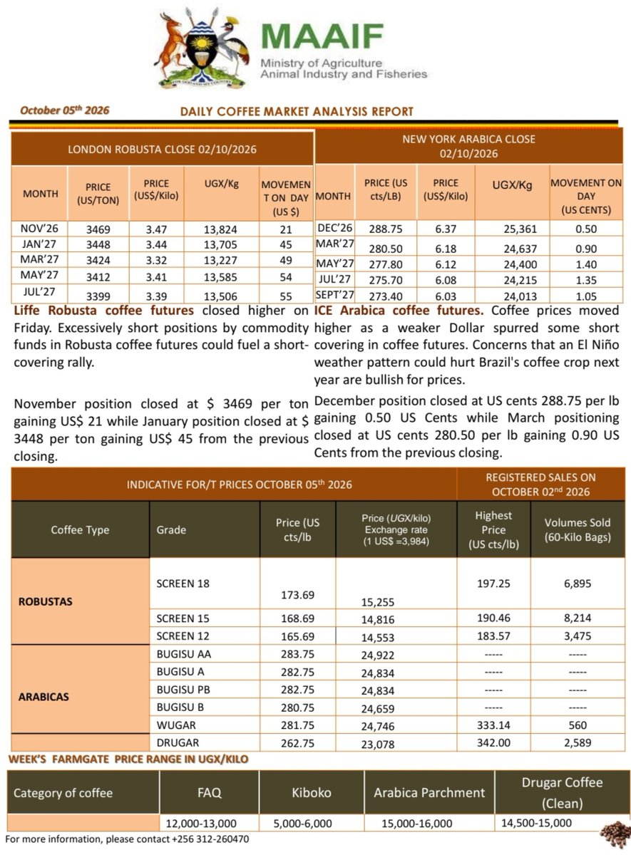 MAAIF_Uganda's tweet photo. Coffee price update for Monday the 5th of October, 2026:

Greetings Coffee value chain players in Uganda. Here is a summary from the Coffee Market Analysis Report for today. 

The highlight: Global coffee prices close higher for both Robusta and Arabica Coffee. Local farm gate remain stable.

1. International Market Highlights 

⚫️ Robusta (As per LIFFE pricing)
Robusta futures closed higher on Friday. Experts note that commodity funds hold an excessive number of "short" positions (bets that the price will fall), which could trigger a "short-covering rally" that could drive prices even higher.

The November 2026 contract closed at $3,469 per tonne (up by $21) while the January 2027 contract closed at $3,448 per tonne (up by  $45).

⚫️ Arabica Coffee (As per New York ICE pricing) Arabica prices went up pushed mainly by adjustments in the U.S. Dollar that encouraged traders to buy back their positions (short covering). Prices are also being pushed up by market worries presented by an El Niño weather pattern that is predicted to damage Brazil’s upcoming coffee crop.

The December 2026 contract closed at 288.75 US cents per lb (up 0.50 cents), which equals US$ 6.37 (About UGX 25,361 per kilogram)

The March 2027 contract closed at 280.50 US cents per lb (up by 0.90 cents), which equals US$ 6.18 (About UGX 24,637 UGX per kilogram).

📢 Prices for Robusta and Arabica are based on LIFFE and ICE figures, respectively.

LIFFE stands for the London International Financial Futures and Options Exchange. It is the historical London-based exchange (now part of Intercontinental Exchange) where Robusta coffee futures are primarily traded and benchmarked.

ICE stands for the Intercontinental Exchange. It is the major global exchange network that operates the New York trading platform where Arabica coffee futures are primarily priced and traded.

2. Local Farmgate Prices
Here are the ranges for the local farm gate prices (in UGX per kilogram)

❇️ Arabica Parchment: 15,000 – 16,000 
❇️ Drugar Coffee: 14,500 – 15,000
❇️ FAQ: 12,000 – 13,000
❇️ Kiboko: 5,000 – 6,000 

Coffee price analysis is undertaken through the MAAIF Department of Coffee Production and Development in collaboration with partner institutions and market-based companies.

#CoffeePriceUG
#UgandaCoffee
#AgricultureUG 

@FrankTumwebazek 
@DESIREtheFARMER