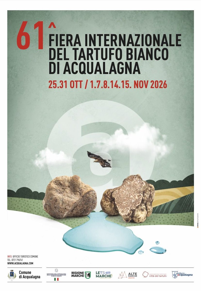 SonoitaliaInfo's tweet photo. SAVE THE DATE: #Marken - #Acqualagna feiert die weiße #Trüffel👉https://t.co/UjabfWgot1 @DiscoverMarche https://t.co/OOrtGxG2S0
