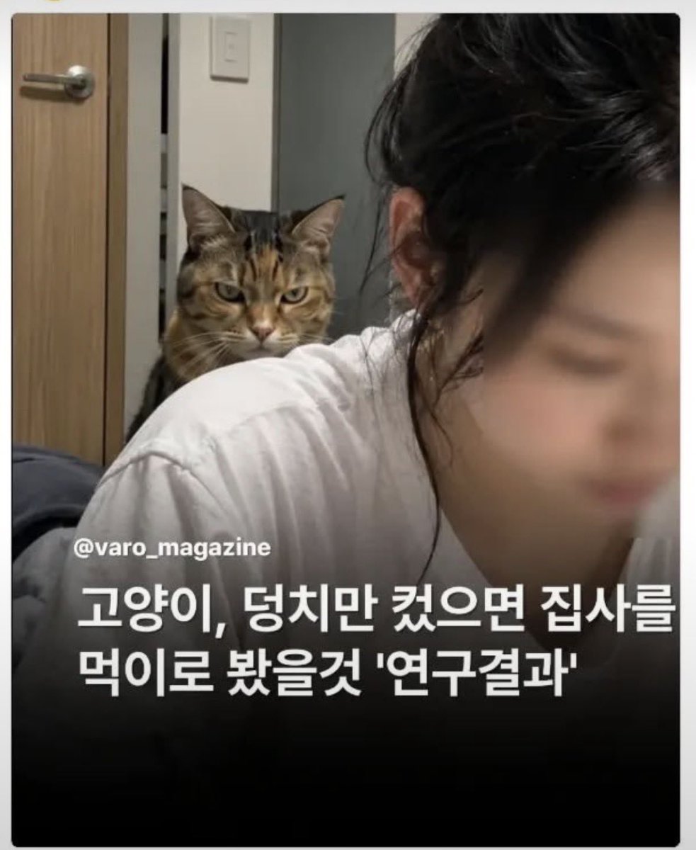 moonandmiuJ's tweet photo. 이자식들..!!! https://t.co/XUCo7i1CFw