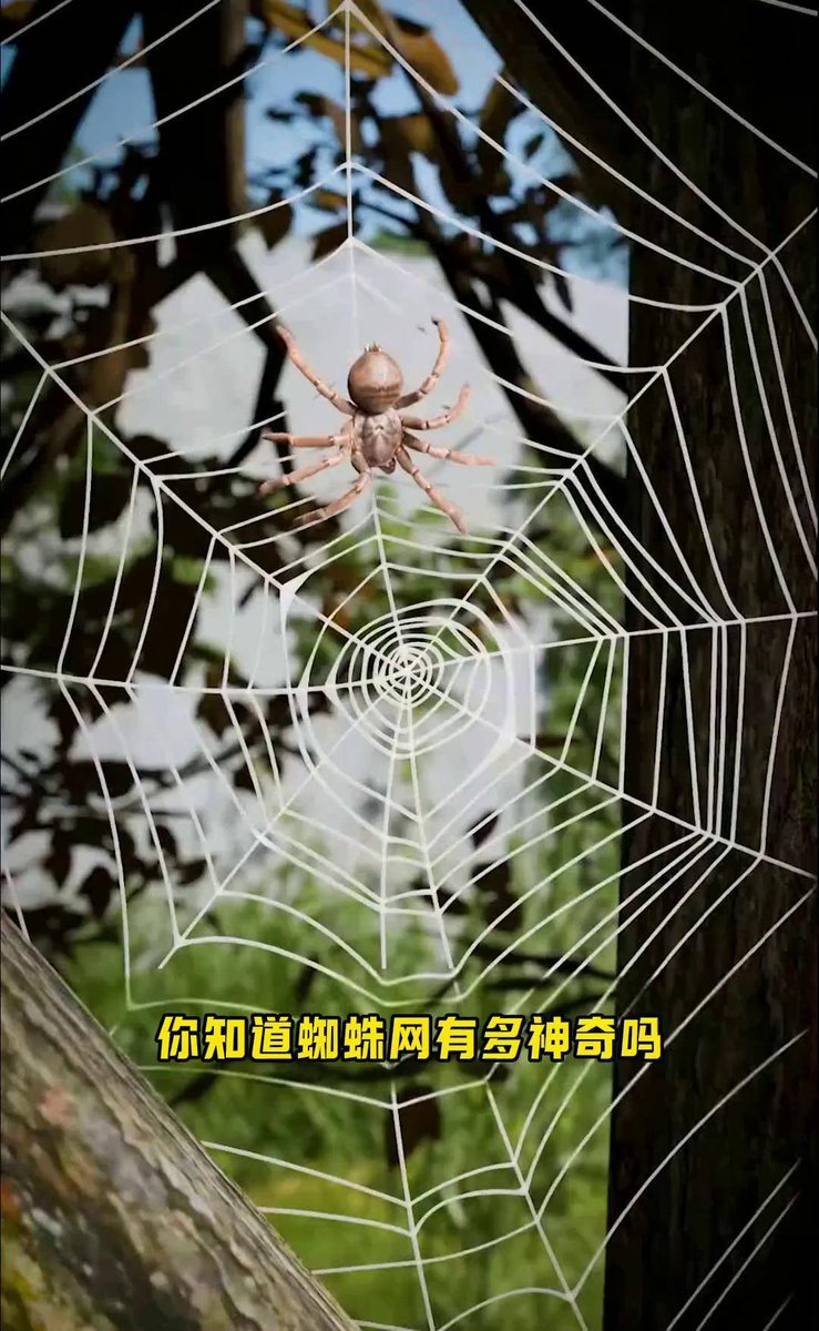 lului190808's tweet photo. [When I accidentally see a scary spider, my whole neck feels stiff, I panic and my vision goes round and round!]， https://t.co/a6iQZV181Y