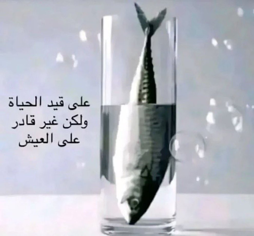 osForuu's tweet photo. https://t.co/TtGMZ31dnV