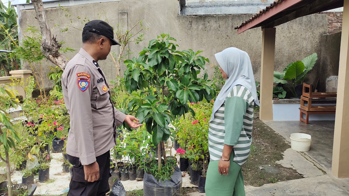 unitbinmaswrj's tweet photo. Bhabinkamtibmas Kel. Warujayeng, Kec. Tanjunganom memantau pemanfaatan lahan Pekarangan Pangan Bergizi (P2B) milik warga binaannya guna mendukung Ketahanan Pangan Nasional.

#ketahananpangan
#swasembadapangan
#polrikawalketahananpangan
#polrikawalswasembadapangan
#astacita https://t.co/Qc6W5CUk6t