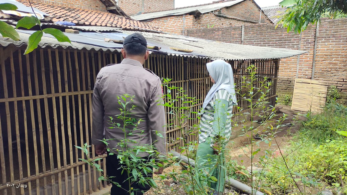 unitbinmaswrj's tweet photo. Bhabinkamtibmas Kel. Warujayeng, Kec. Tanjunganom memantau pemanfaatan lahan Pekarangan Pangan Bergizi (P2B) milik warga binaannya guna mendukung Ketahanan Pangan Nasional.

#ketahananpangan
#swasembadapangan
#polrikawalketahananpangan
#polrikawalswasembadapangan
#astacita https://t.co/Qc6W5CUk6t