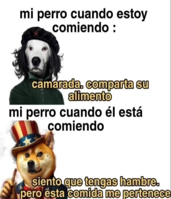 topmejorvirales's tweet photo. A favor de compartir solo cuando es mío #humornegro #humor #memes https://t.co/sJGk8u0TZR