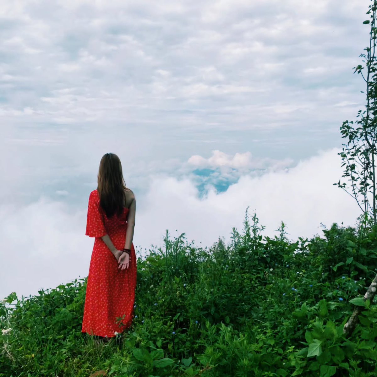 AnnabCaroline's tweet photo. Săn mây thành công, khung cảnh đẹp đến ngỡ ngàng. https://t.co/iwCLny4A0B