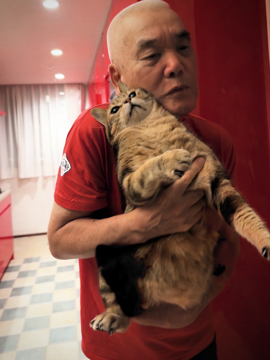lion007's tweet photo. 我が家のタマトモは
抱っこが嫌いだ。

固まって動かなくなるタマに
暴れて凶器と化すトモ……。 https://t.co/Fl9NaOrldE