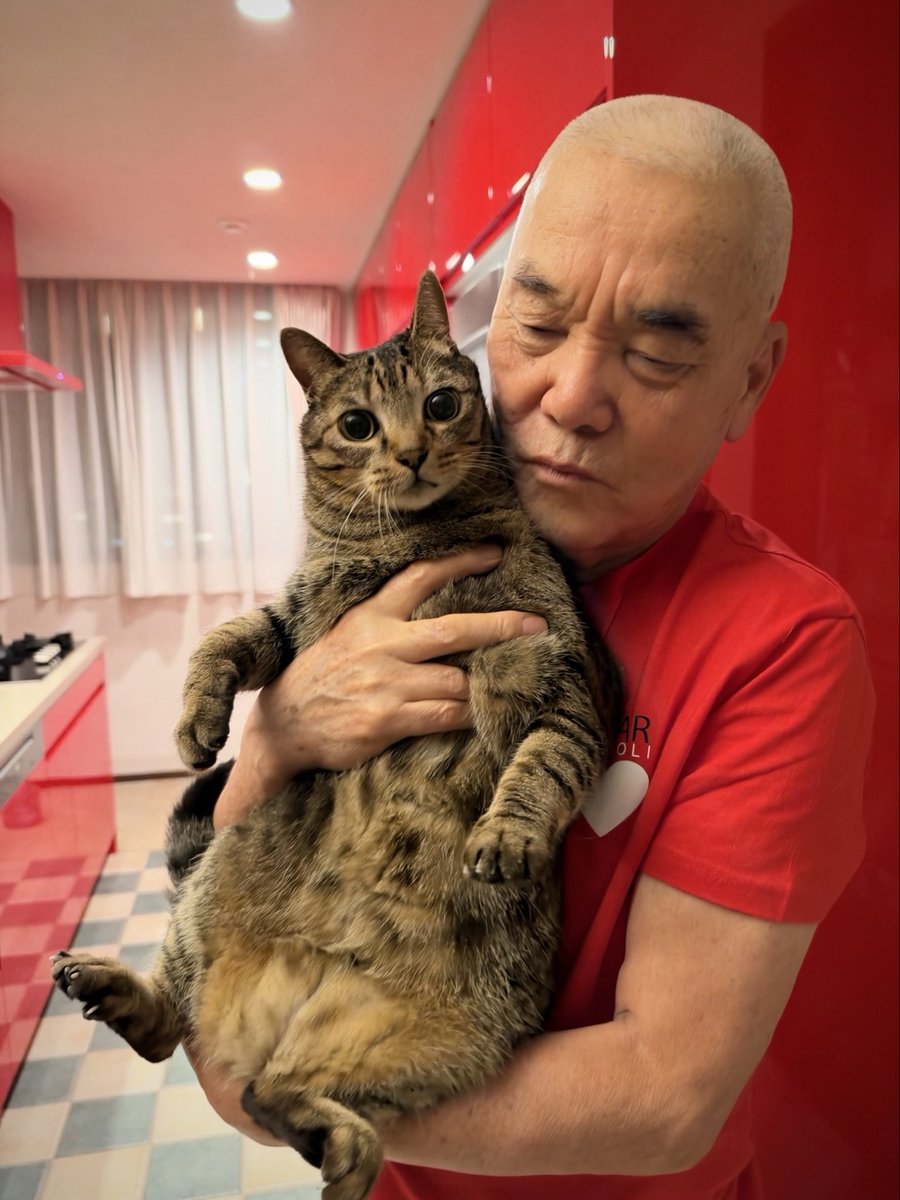 lion007's tweet photo. 我が家のタマトモは
抱っこが嫌いだ。

固まって動かなくなるタマに
暴れて凶器と化すトモ……。 https://t.co/Fl9NaOrldE