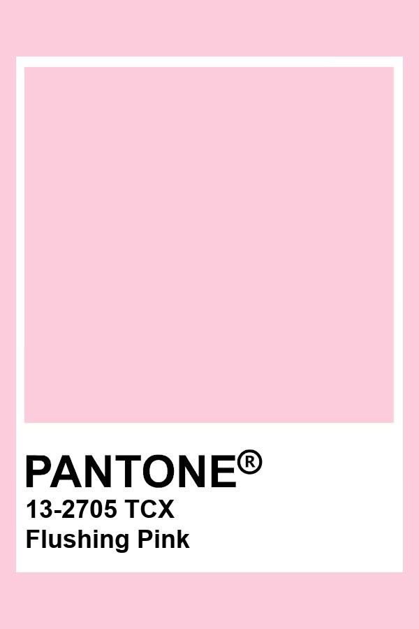 yukittiera's tweet photo. how pinterest see me anjay musik
☆ fashion
☆ pantone
☆ mood
☆ food
maaf fomo (( tapi ko pinky banget )) https://t.co/pEJiyVlp65