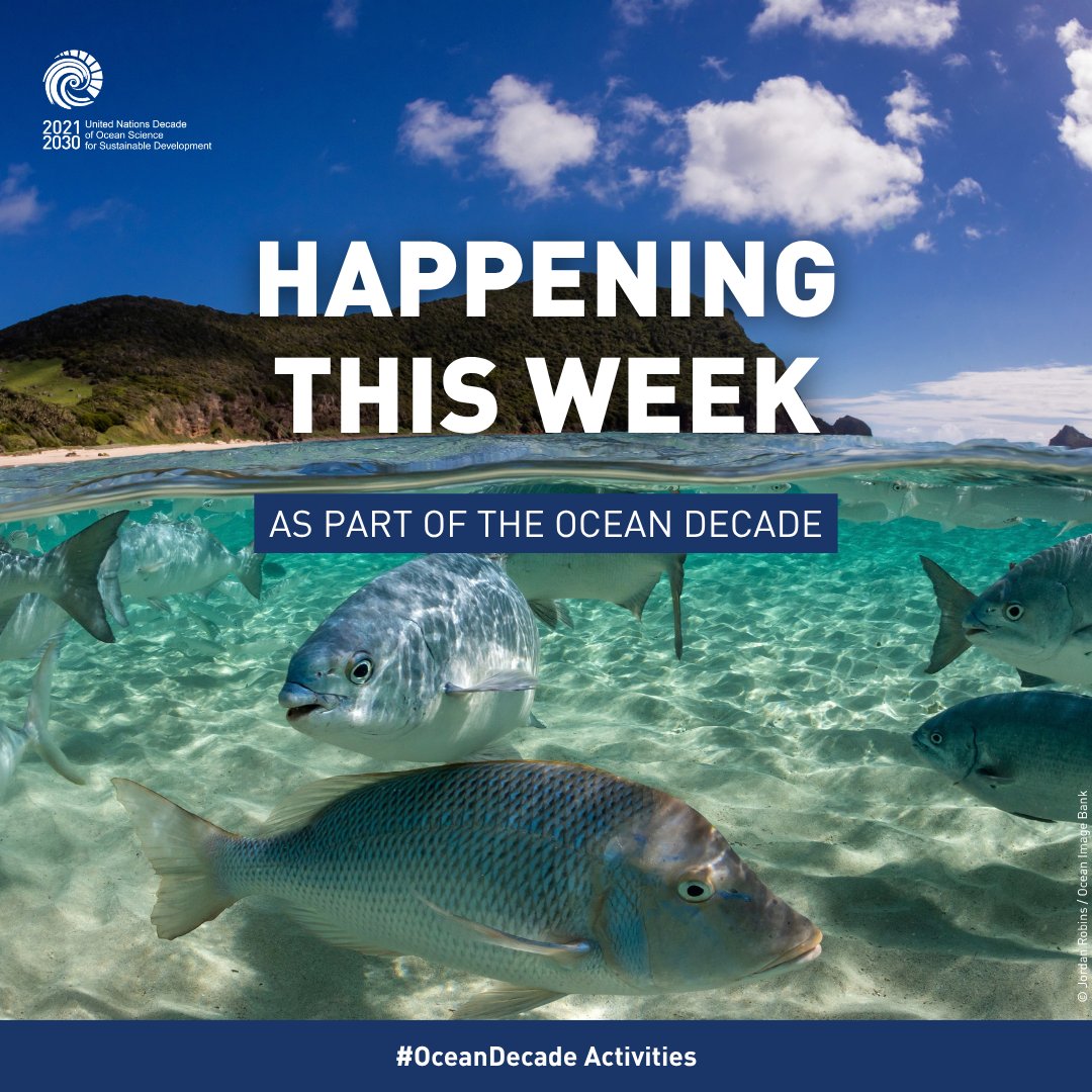 UNOceanDecade's tweet photo. Happy Monday! This week’s #OceanDecade highlights: 🌊
🌡️ Regional Workshop on Monitoring and Forecasting Marine Heatwaves – https://t.co/yv4Op8rBeQ
🐦 Sentinels of the Ocean – https://t.co/vTHF8Ymb0R
🌊 Ocean Futures Exhibition 2026-2027 – https://t.co/y0lBPbJ4DO https://t.co/TmqK9UnjwX