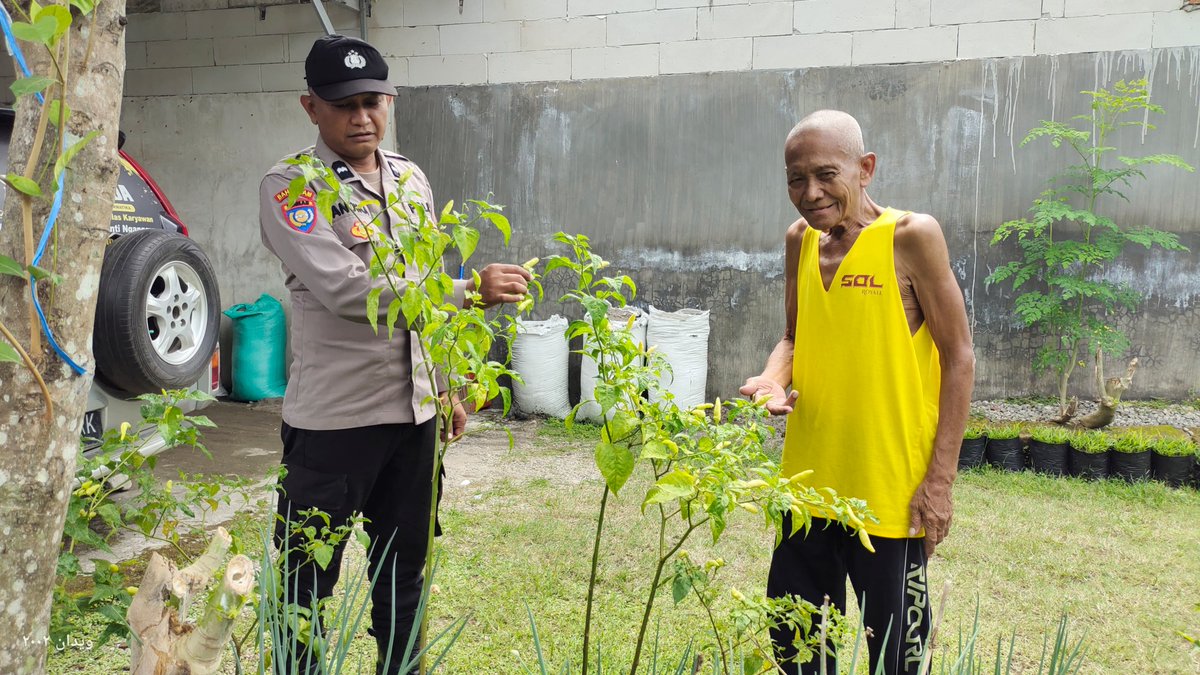 unitbinmaswrj's tweet photo. Bhabinkamtibmas Kel. Warujayeng, Kec. Tanjunganom memantau pemanfaatan lahan Pekarangan Pangan Bergizi (P2B) milik warga binaannya guna mendukung Ketahanan Pangan Nasional.

#ketahananpangan
#swasembadapangan
#polrikawalketahananpangan
#polrikawalswasembadapangan
#astacita https://t.co/Qc6W5CUk6t