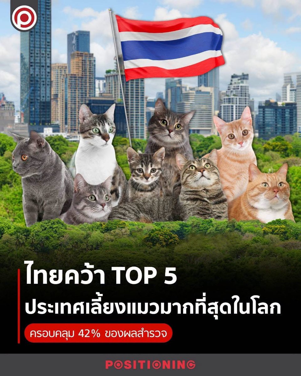 ganblade's tweet photo. เหลือแค่เพิ่ม option สิทธิลดหย่อนภาษีแมวในอุปการะแหละ https://t.co/M7enQ0e4Z3