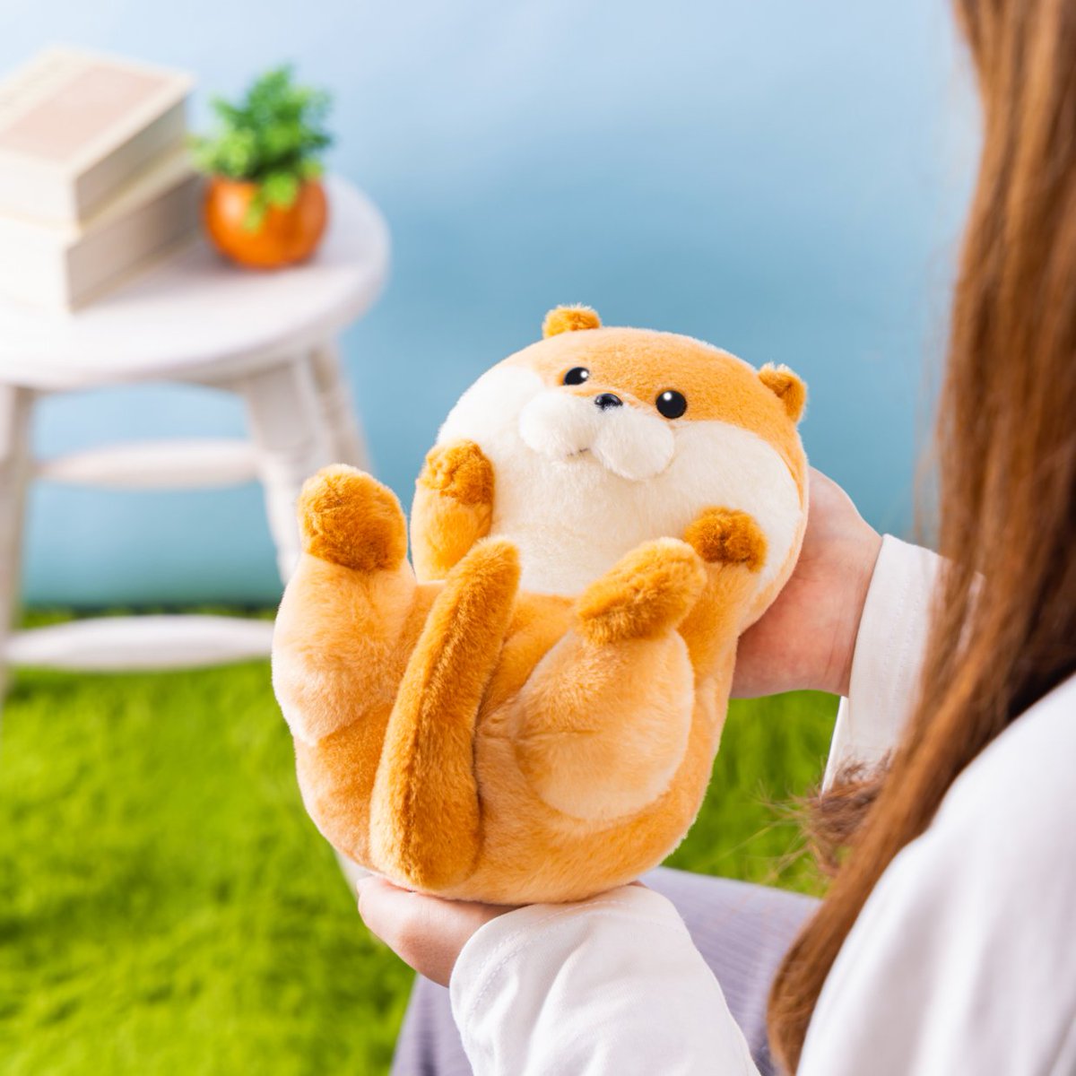 nun2store's tweet photo. 🌟新商品🌟

可愛い嘘のカワウソ 
おしりころりんっぬいぐるみ
 2,530円(税込)

コロンとひっくり返って
おしりを見せちゃう無防備フォルム🦦

10/16(金)11時より発売🛒
https://t.co/aaZt9sNfdH https://t.co/owqzkwWZQx