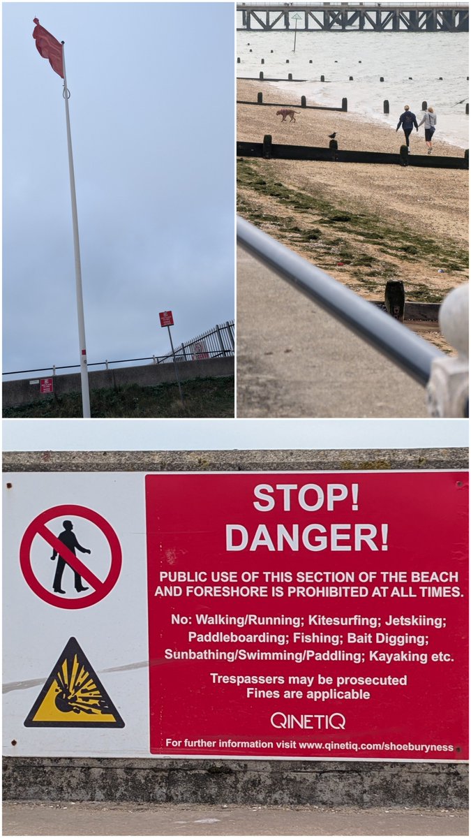 T01G5's tweet photo. Do dog walkers have some sort of invisible shield that I don't know about? Walk through an active firing range with a dog. You'll be fine - RIP https://t.co/qVqZggxUlQ