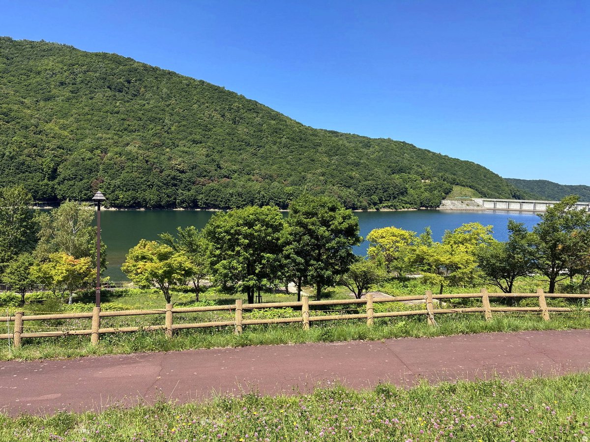 toyoler's tweet photo. 去年は大漠さんの書き下ろしガチ泣きｼﾀﾅ~ https://t.co/3iJMTtYTia