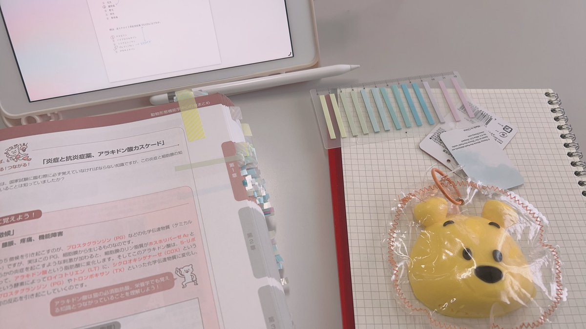 emma_minato's tweet photo. 今日は学校！ https://t.co/vHoNuWBNYT
